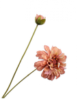 Kunstblume Zinnie Zweig Creme/Lila REAL TOUCH | 62 cm