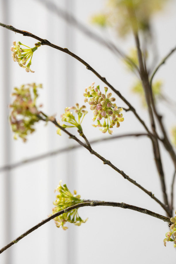 Fleur artificielle Branche de Spirée Vert | 160 cm