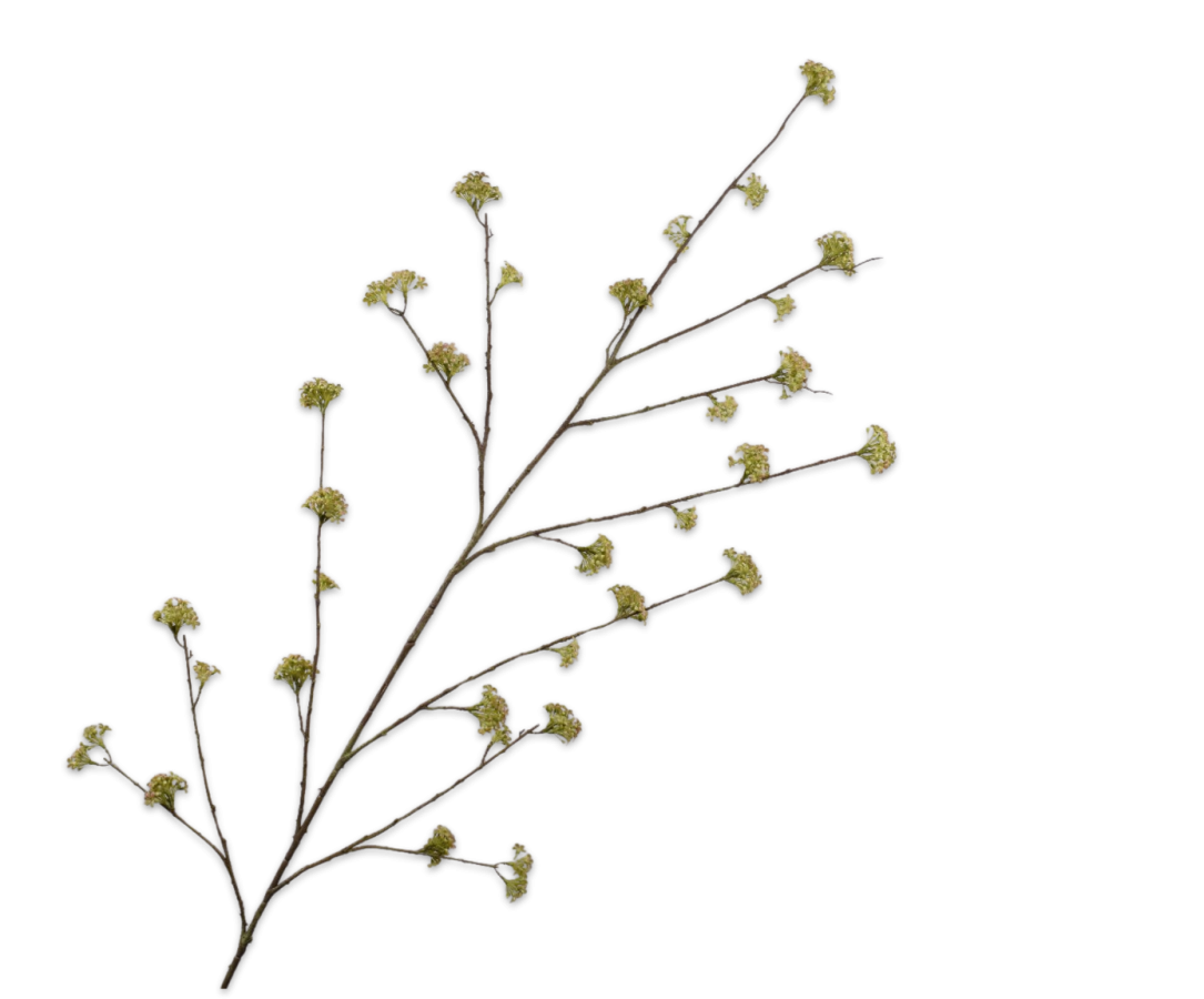 Fleur artificielle Branche de Spirée Vert | 160 cm