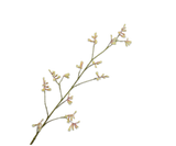 Kunstbloem Kangaroepootje Tak Roze/Groen | 121 cm