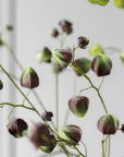 Kunstblume Physalis Zweig Braun / Grün | 123 cm