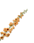 Kunstblume Rittersporn Stiel Orange | 127 cm