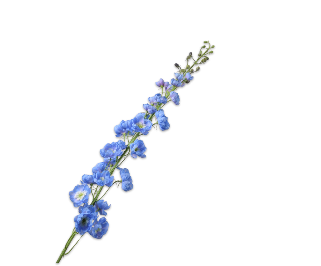 Kunstbloem Delphinium Steel Blauw | 127 cm