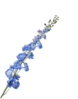 Kunstbloem Delphinium Steel Blauw | 127 cm