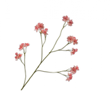 Artificial Flower Astrantia Branch Pink | 95 cm