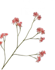 Kunstbloem Astrantia Tak Roze | 95 cm