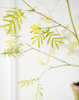Kunstblume Mimosenzweig Grün | 96 cm