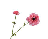 Artificial Flower Ranunculus Branch Pink Real Touch | 63 cm