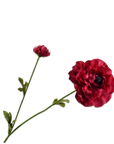Kunstbloem Ranonkel Tak Beauty Real Touch | 63 cm