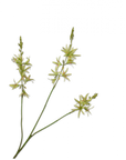 Kunstbloem Crocosmia Tak Groen | 95 cm
