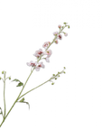 Kunstbloem Delphinium Tak Crème/Roze | 101 cm