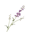 Fleur artificielle Branche de Delphinium Lavande | 101 cm