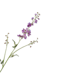 Kunstblume Delphinium Zweig Lavendel | 101 cm