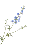 Kunstbloem Delphinium Tak Blauw | 101 cm