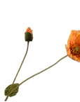 Kunstbloem Klaproos Tak Oranje | 74 cm