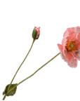 Kunstblume Mohnzweig Lachs | 74 cm
