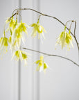 Branche de fuchsia artificielle blanc/vert | 128 cm