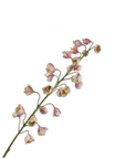 Kunstbloem Fritillaria Tak Creme/Roze | 111 cm