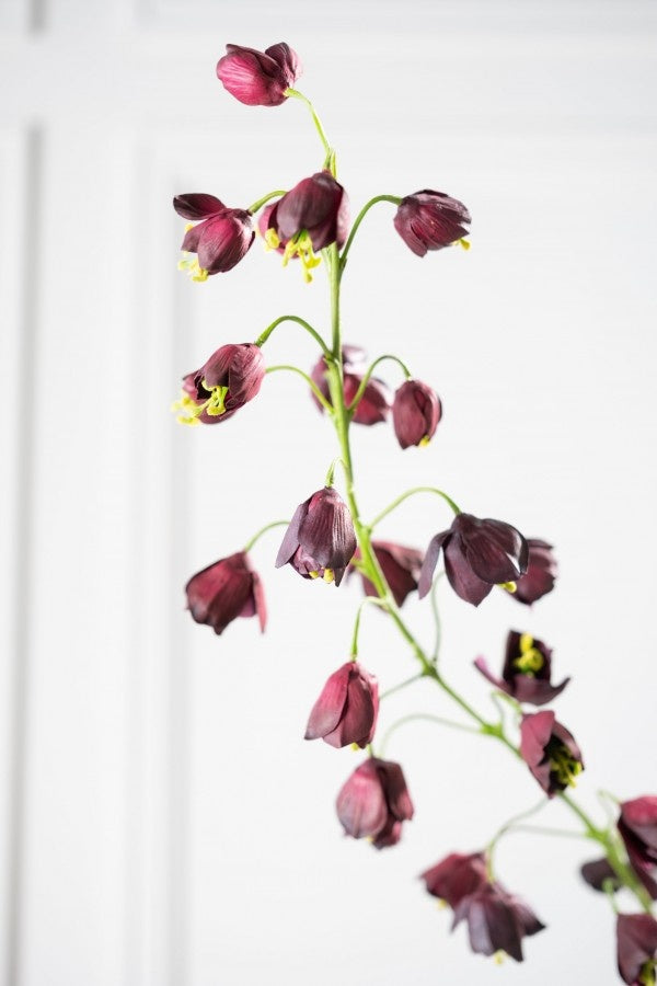 Branche de fritillaire artificielle bordeaux | 111 cm