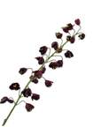 Branche de fritillaire artificielle bordeaux | 111 cm