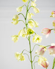 Kunstblume Fritillaria Zweig Grün | 111 cm