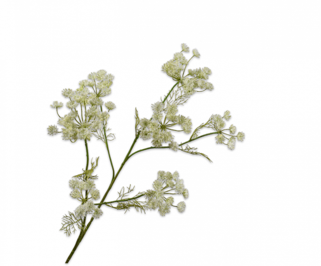 Rama de eneldo artificial blanco | 105 cm