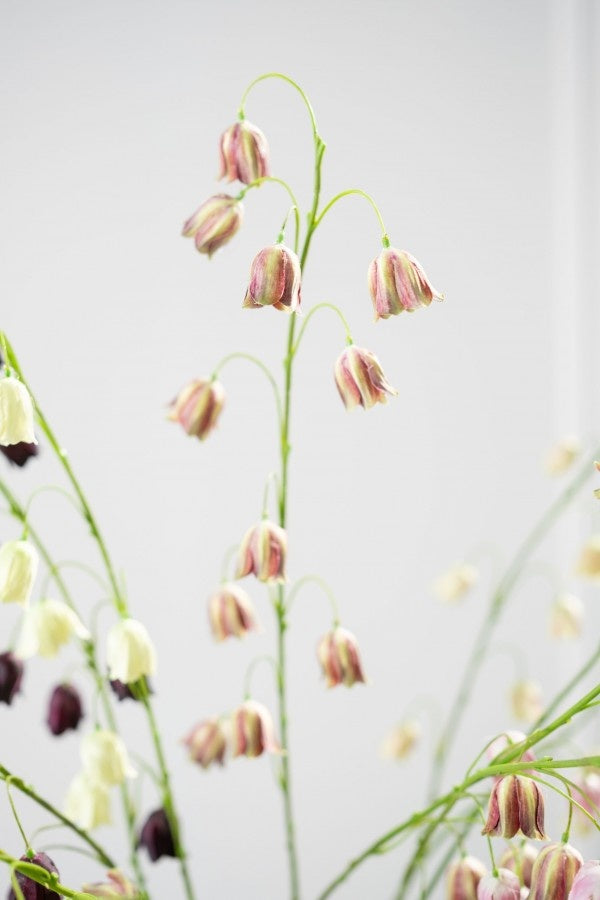 Kunstbloem Fritillaria Tak Bordeaux/Groen  | 97 cm