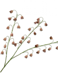 Kunstbloem Fritillaria Tak Bordeaux/Groen  | 97 cm