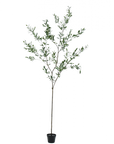 Kunstpflanze Olivenbaum grün | 234 cm