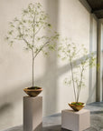 Kunstpflanze Schefflera Grün | 240 cm
