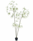 Kunstpflanze Schefflera Grün | 223 cm