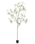 Kunstpflanze Schefflera Grün | 240 cm