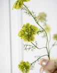 Kunstblume Dillzweig Grün | 74 cm