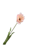 Kunstblume Tulpe Stiel Creme/Rosa RT | 72 cm