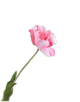 Kunstbloem Tulp Steel Roze RT | 72 cm