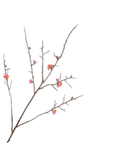 Kunstbloem Bloesem Tak Beauty | 121 cm