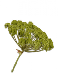 Fleur artificielle Aneth Acier Vert | 85 cm