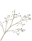 Fleur artificielle Branche d'Eucalyptus Vert/Marron | 115 cm