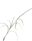 Fleur artificielle Branche d'herbe Verte | 178 cm