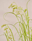 Kunstplant Gras op Kluit met Mos | 120 cm
