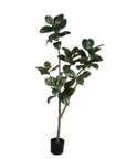 Kunstplant Ficus Groen | 200 cm