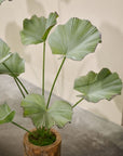 Kunstplant Lotus groen | 90 cm