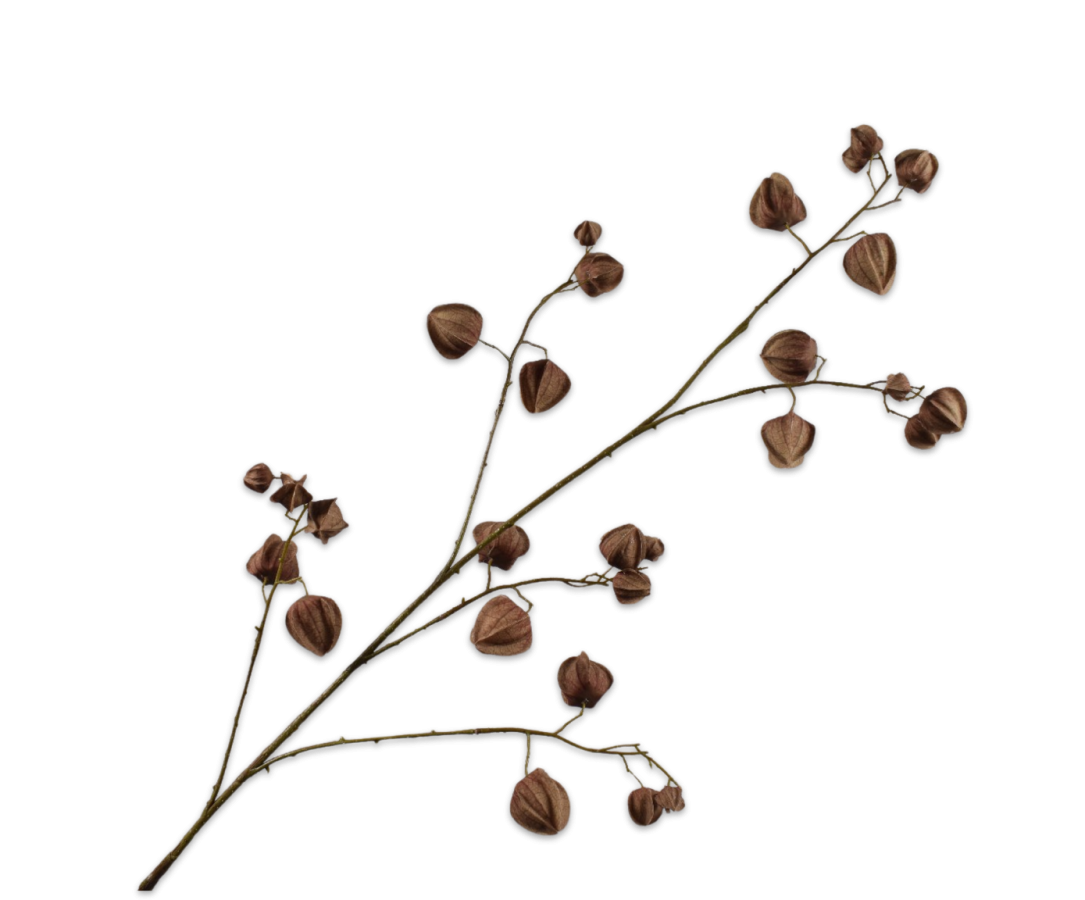 Kunstbloem Physalis Tak Donkerbruin | 125 cm