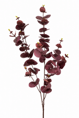 Kunstbloem Eucalyptus Tak Burgundy | 97 cm