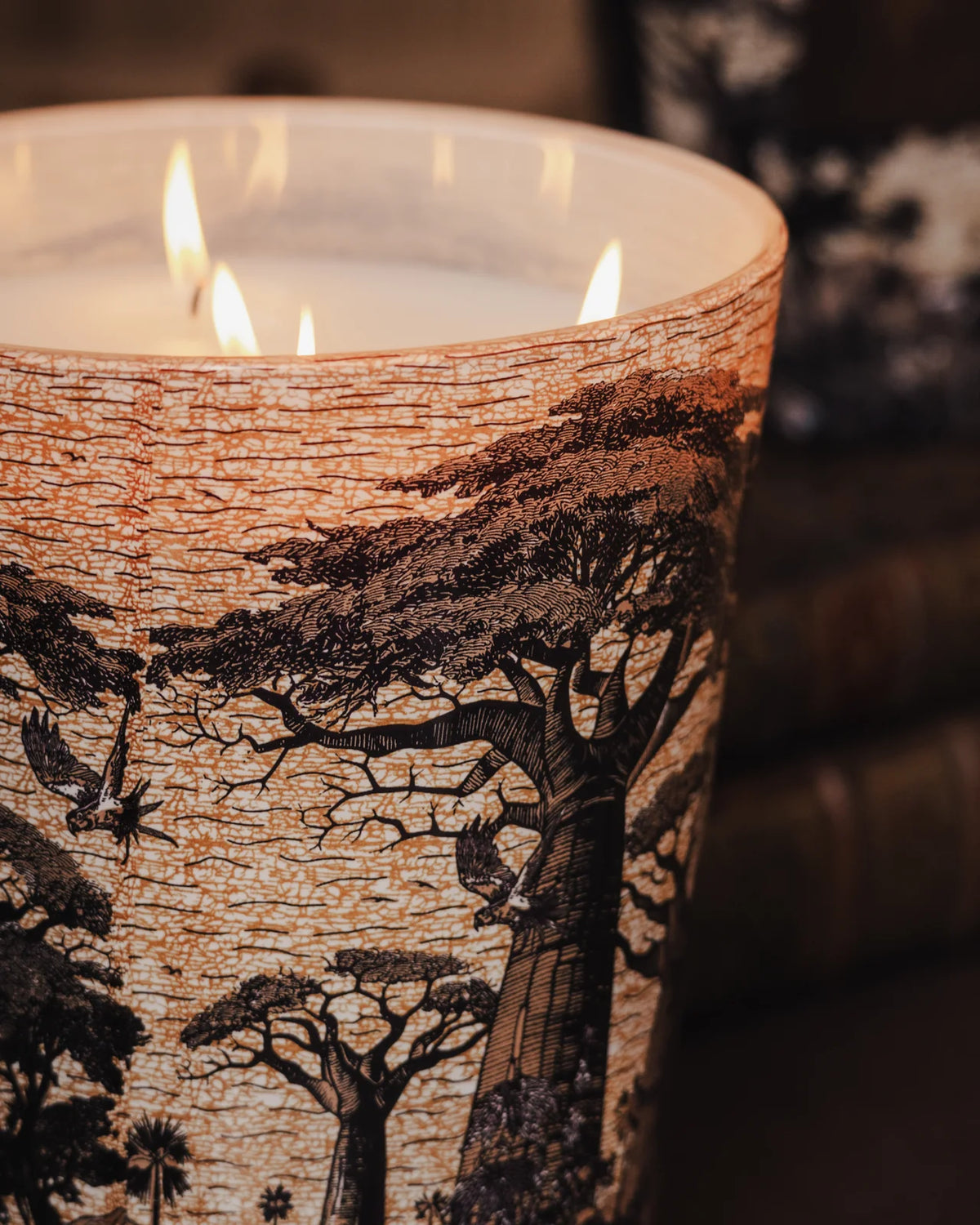 Duftkerze Sacred Trees Mankono | Classique 10