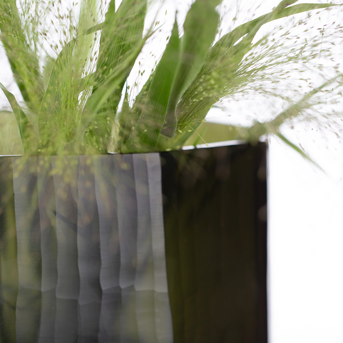 Schaal Okka | Black Steelgrey