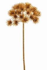 Kunstbloem Dille Tak Goud | 68 cm