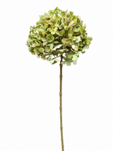 Kunstbloem Hortensia Tak Groen | 65 cm