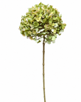Kunstbloem Hortensia Tak Groen | 65 cm