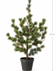 Exclusive Winter Pine | Luxe Kunst Dennenboom 80 cm